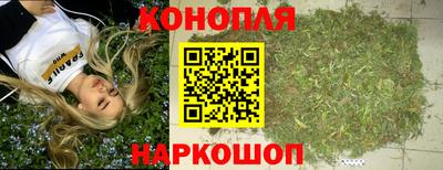 сатива Малгобек
