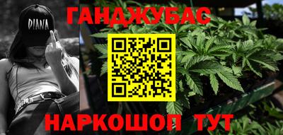 сатива Малгобек