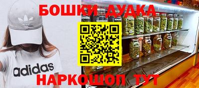 сатива Малгобек