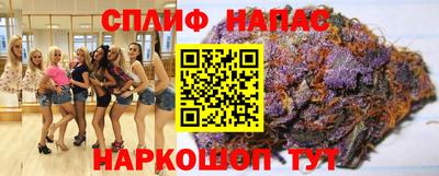 сатива Малгобек